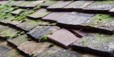 Rodborough Common roof repair costs